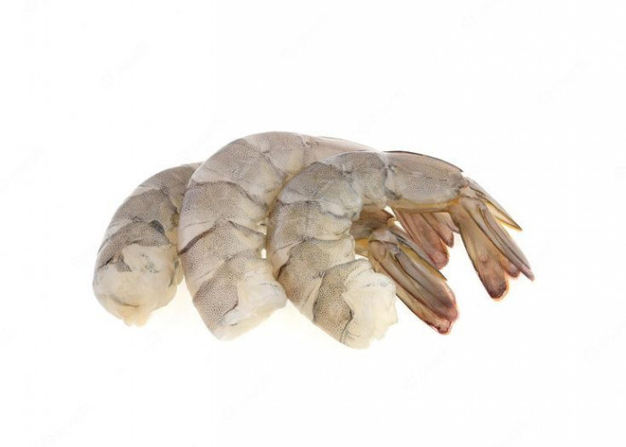 Mitos dan Fakta tentang Udang: Informasi yang Perlu Diketahui!