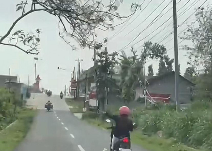 Ulat Jati dan Tongkat Ajaib, Kisah Lucu dari Gunungkidul yang Menggugah Refleksi