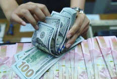 Dolar AS Naik lagi Tembus Rp16000. Karena Faktor Apa?