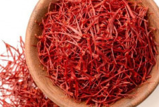 Saffron Emas Merah yang Memikat Dunia