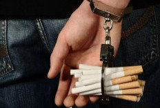 Mengapa Rokok Sulit Ditinggalkan Ini Cara Otak Tertipu oleh Nikotin 