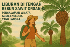 Liburan di Tengah Kebun Sawit Organik: Pengalaman Wisata Agro-Ekologis yang Langka