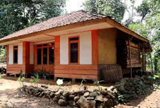 Rumah Panggung: Lebih dari Sekadar Tempat Tinggal, Cerminan Filosofi Hidup