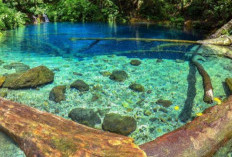 Menikmati Keindahan Danau Kaca di Taman Nasional Kerinci Seblat