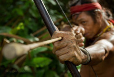 Keunikan Bahasa dan Dialek Suku Mentawai: Harmoni Bunyi dan Makna di Kepulauan Mentawai