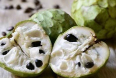 Rahasia Sehat dari Srikaya: 5 Manfaat Luar Biasa untuk Tubuh Anda!