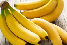 Manfaat Pisang untuk Kesehatan dan Waktu Terbaik Mengonsumsinya: Pagi atau Malam?