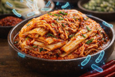 Kimchi: Lebih dari Sekadar Acar, Sang “Pembangkit Tenaga” Probiotik Alami untuk Ekosistem Usus Anda