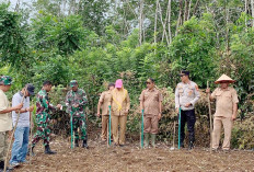 Mulai Menanam, Bunga Tanjung Optimis Juara Lomba Sadesahe 