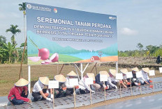 Pemda Kenalkan Organik Kepada Petani Selagan Raya