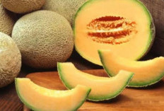 Waspada! 5 Kelompok Orang Ini Sebaiknya Menghindari Konsumsi Melon