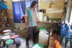 Tantangan Mengembangkan Pertanian Organik Kian Berat, Yansen: Tetap Jalan