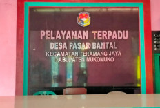 Pelaksanaan Kegiatan Fisik Desa Pasar Bantal Terkendala Cuaca