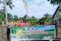 Giliran Desa Sungai Rengas Tanam Jagung Sadesahe