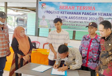 Sukses pada 2023, Mekar Jaya Lanjutkan Program Pengembangan Kambing