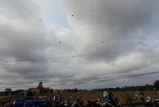 Lahan Kosong di Depan RSUD Bakal Dijadikan RTH