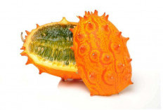 Melon Bertanduk (Kiwano), Eksotisme Segar dari Afrika