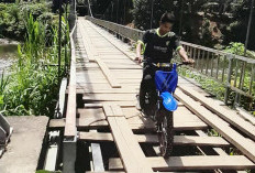 Jembatan Sungai Gantung Lubuk Bangko Mulai Terancam