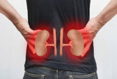 Mengenali Ciri-Ciri Seseorang yang Akan Terserang Sakit Ginjal