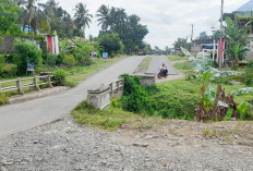 Jembatan Jalan Dua Jalur di Agung Jaya Batal Dibangun 