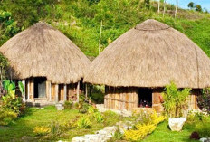 Keajaiban Honai: Rumah Tradisional Suku Dani di Papua