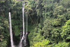 Sekumpul Waterfall Pesona Tersembunyi di Hutan Bali yang Memikat Jiwa