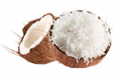 Rahasia Kelapa Tua: Sumber Lemak Sehat, Energi Alami, dan Khasiat untuk Kulit!