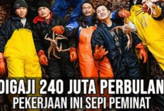 Boleh Dicoba, Pekerjaan Ini Digaji 240 Juta Sebulan Tapi Sepi Peminat