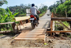 Jembatan Darurat Sering Makan Korban, Inilah yang Dilakukan Pemdes Sido Makmur  