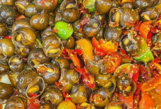 Keong Masak Kuah Pedas Sensasi Gurih Pedas yang Menggoda Lidah