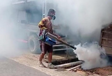 Satu Orang Warga Retak Mudik Potif DBD