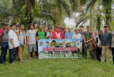 Pondok Suguh Kembangkan 33 Ekor Bibit Indukan Sapi 