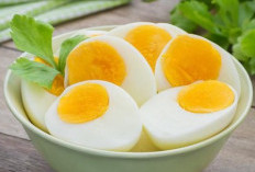 Menyantap Menu Berprotein, 6 Sumeber Protein Untuk Sarapan
