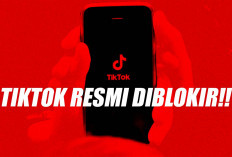 Resmi Diblokir Amerika, Aplikasi TikTok Hilang dari Apple dan Google Store