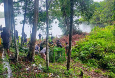 Harimau Dicurigai Masih Ngadem di Hutan Konservasi Danau Lebar