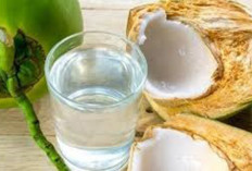 Minum Air Kelapa Setiap Hari, Sehat atau Berbahaya? Simak Penjelasannya