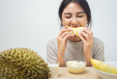 Ada Beberapa Efek Samping Makan Durian Jika dikonsumsi Berlebihan. Apa saja?