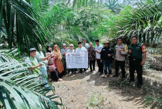 Padang Gading Mulai Kebut Realisasi Anggaran Tahap I 