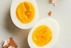 Sudah Dengar Metode Diet Telur Rebus? Ini Faktanya 