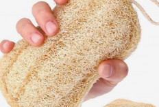 Loofah, Spons Alami yang Ramah Lingkungan dan Baik untuk Kulit