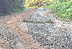 Talang Buai Belum Kebagian Bangunan Jalan dan Jembatan 