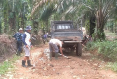 Petani Goro Perbaiki Jalan Rusak 