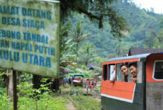 Kisah Gemilang Tambang Emas Lebong Tandai, Mengungkap Sejarah, Keindahan Alam, dan Keberlanjutan Ekonomi di Ta