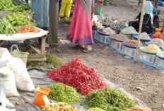 Sempat Normal, Harga Cabai Kembali Meroket 