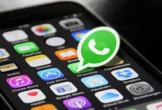 Notifikasi Whatsapp Sangat Mengnggu, 4 Cara Menonaktifkan Notifikasi Whatsapp