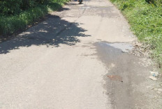 Baru Sampai Resno, Mayoritas Jalan Rusak di Kecamatan V Koto Belum Tersentuh Perbaikan  