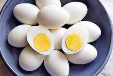 Apa Benar Bisul Disebabkan Oleh Telur? Ini Faktanya