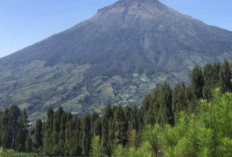 Latimojong Sang Raja di Tengah Sulawesi, Simfoni Kearifan Lokal dan Keindahan Alam