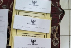 LHP Dibagikan ke Desa, Inspektorat Kasih Deadline Tindaklanjut 60 Hari