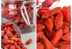 Goji Berry, Buah Ajaib yang Kaya Manfaat untuk Kesehatan